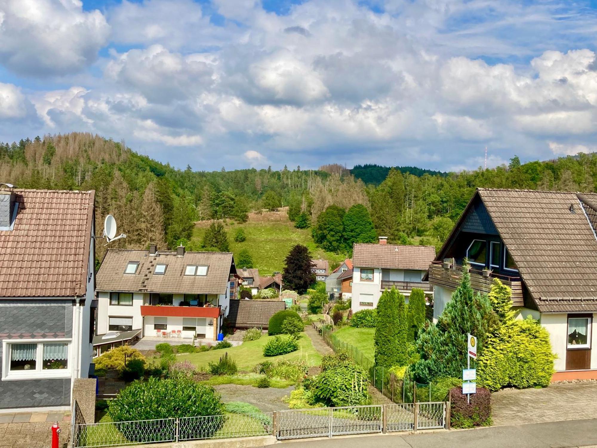 Haus Wilma Apartment Altenau  Exterior foto